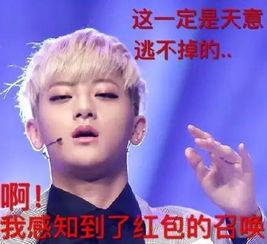 明星的表情包怎么制作,轻松打造个性搞笑瞬间