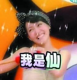 无聊表情包明星,趣味横生的瞬间捕捉