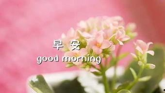 最美的情缘图片,共绘情缘画卷