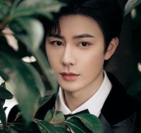 王鼻子照片,探寻面部特征背后的故事